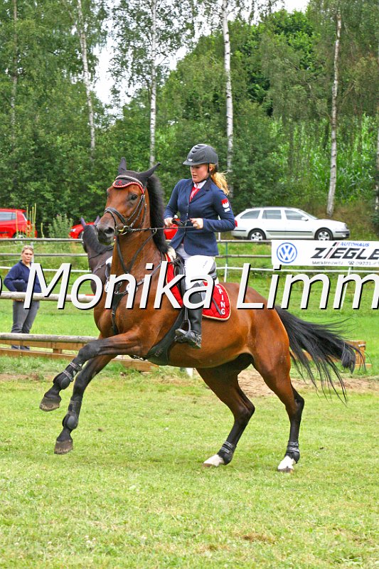 007M9475_Aristella_Punkte M.JPG